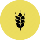 Free Of Processing to
Maintain Nutritional Values